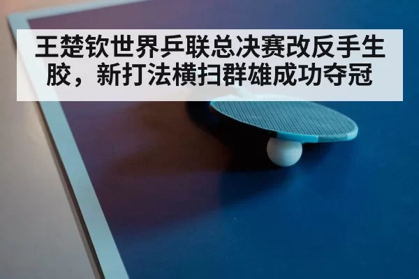 ping pong racket close up